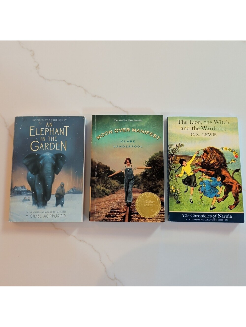 Young Readers 3 Book Lot Fiction Novels Inspirational Educational Award Winning